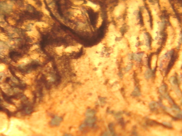 2006-P-1-DO--018--Lincoln-Memorial-Cent-What-Stage?